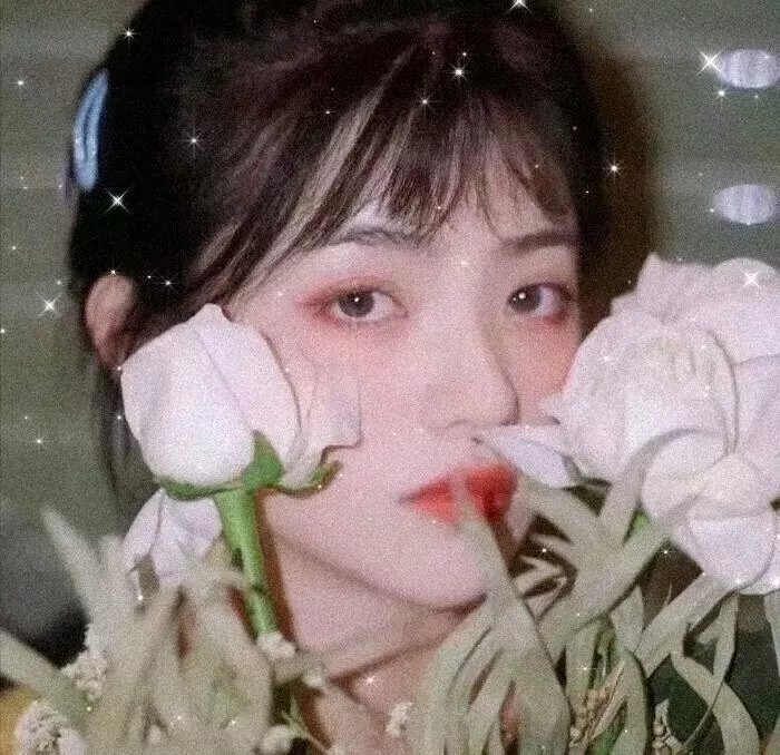 九尾妖狐之血泪